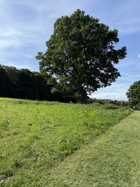 Barfußpark Egestorf – Naturerlebnis für alle Sinne in der Lüneburger Heide
