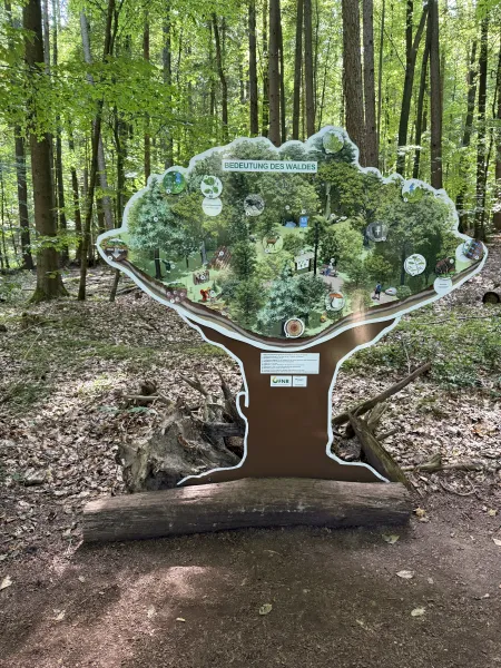 Barfußpark Egestorf – Naturerlebnis für alle Sinne in der Lüneburger Heide