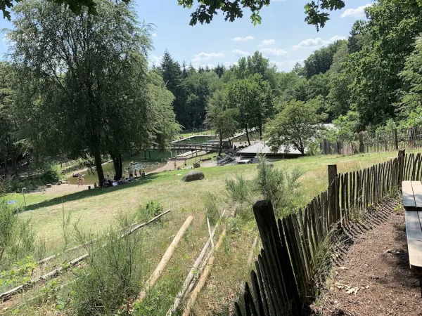 Barfußpark Egestorf – Naturerlebnis für alle Sinne in der Lüneburger Heide