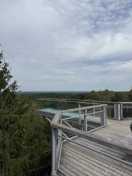 Heide Himmel – Baumwipfelpfad in der Lüneburger Heide