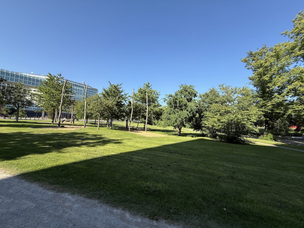 Lohsepark in der Hafencity Hamburg