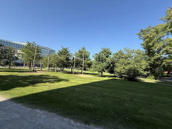 Lohsepark in der Hafencity Hamburg