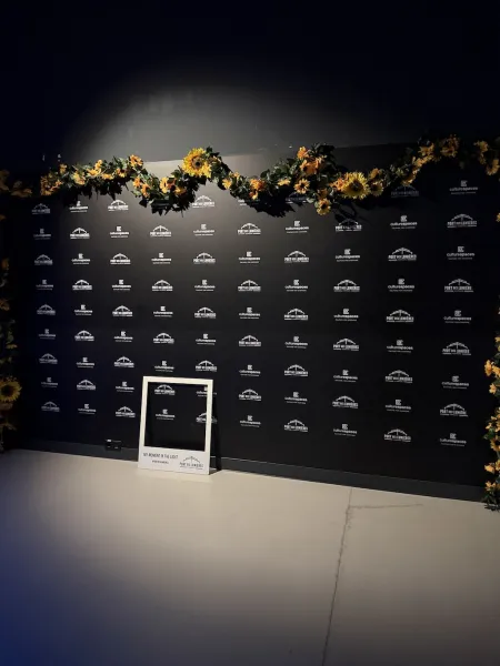 Port des Lumières Hamburg