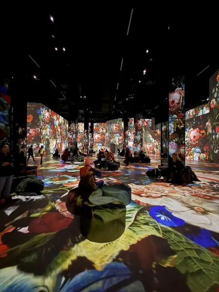 Port des Lumières Hamburg