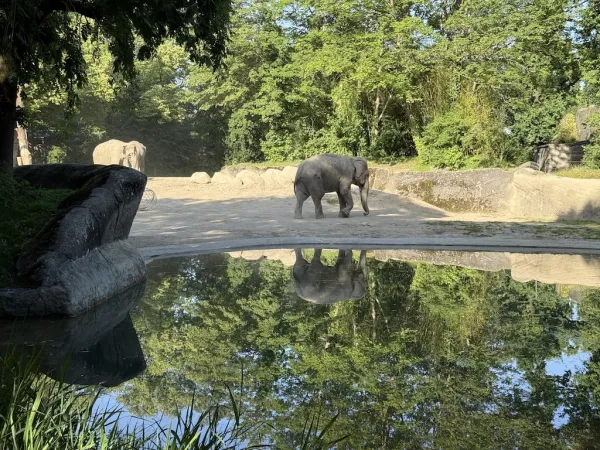 Tierpark Hagenbeck