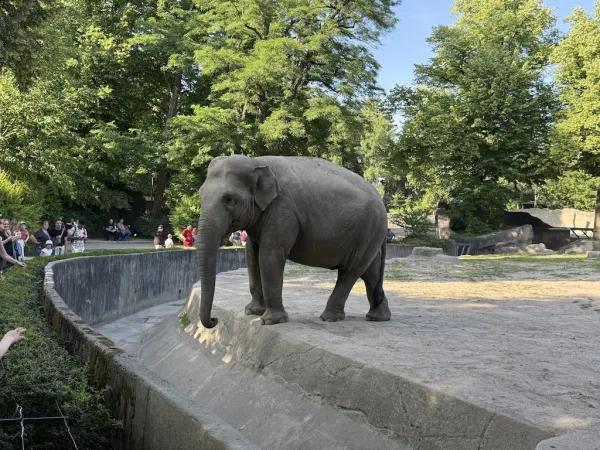 Tierpark Hagenbeck