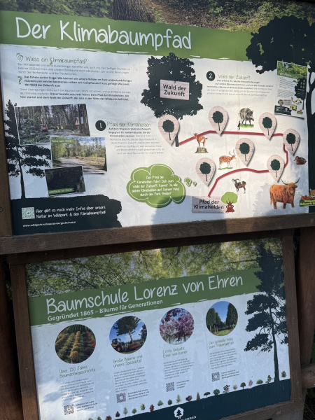 Wildpark Schwarze Berge