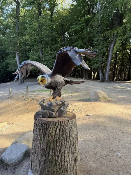 Wildpark Schwarze Berge